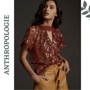 Anthropologie Sequin Sheer Tie-Back Blouse – Burnt Copper, Flutter Sleeve, XL